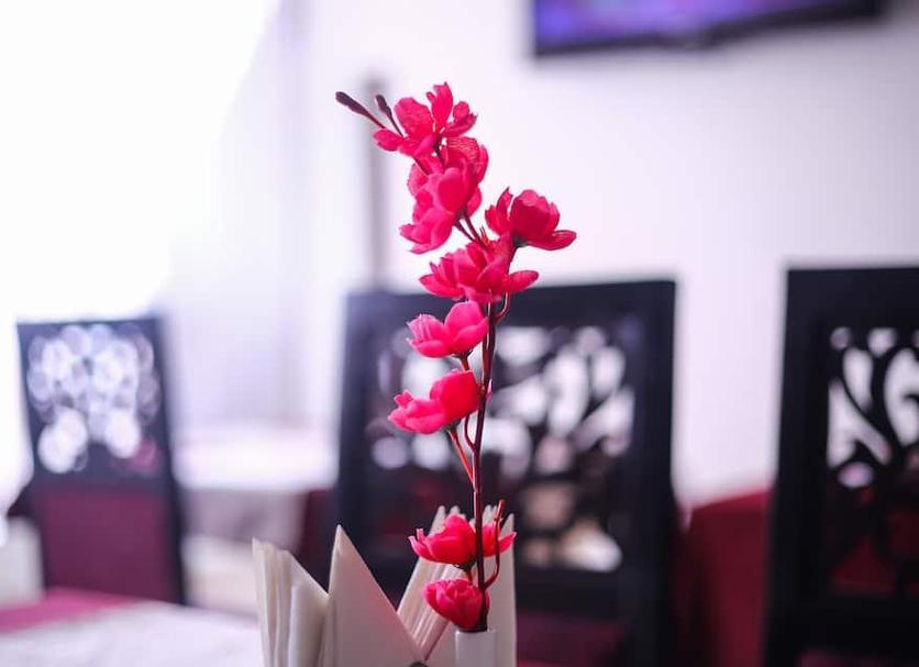 Oda olanağı Fotoğraf
