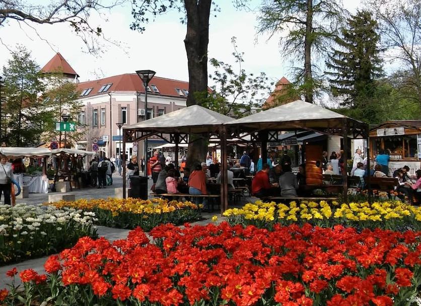 Diğer Fotoğraf