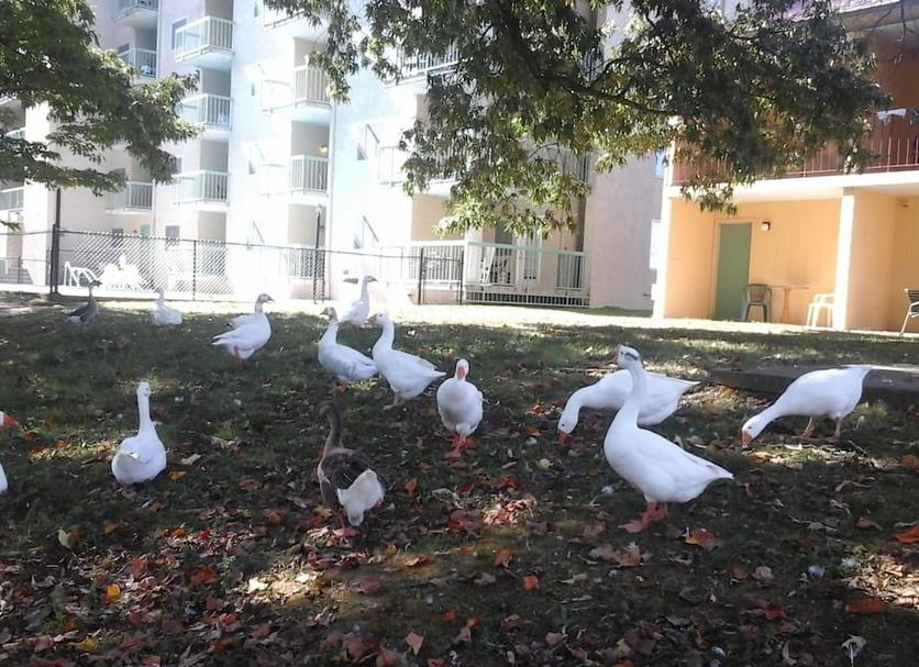Dış görünüm Fotoğraf
