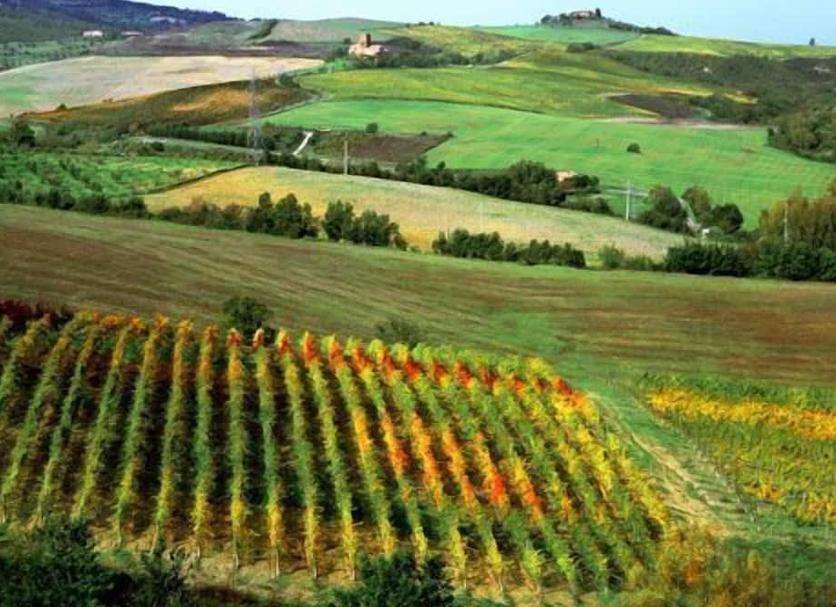 Dış görünüm Fotoğraf
