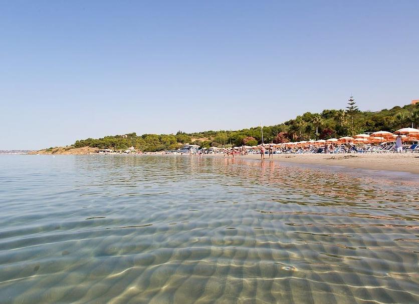 Diğer Fotoğraf