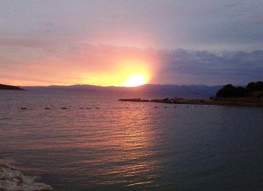 Diğer Fotoğraf