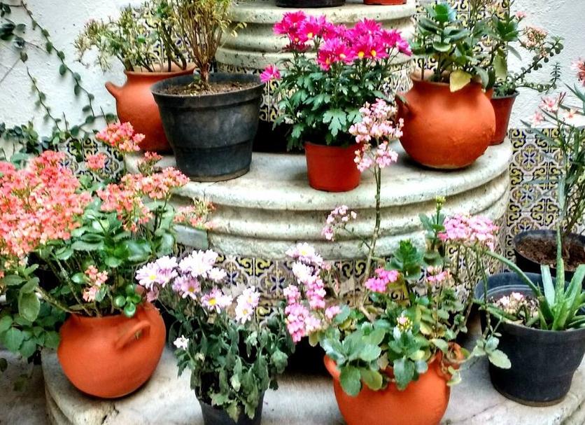 Dış görünüm Fotoğraf