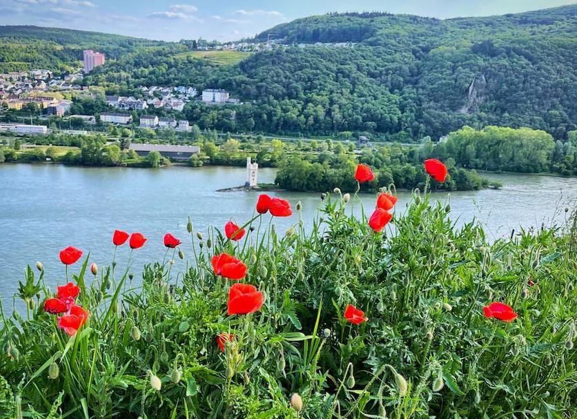 Dış görünüm Fotoğraf
