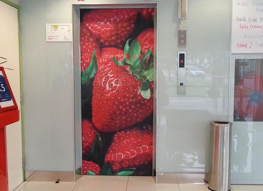 Diğer Fotoğraf