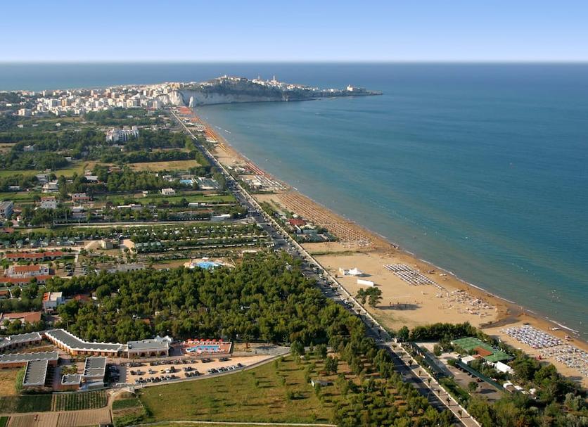 Diğer Fotoğraf