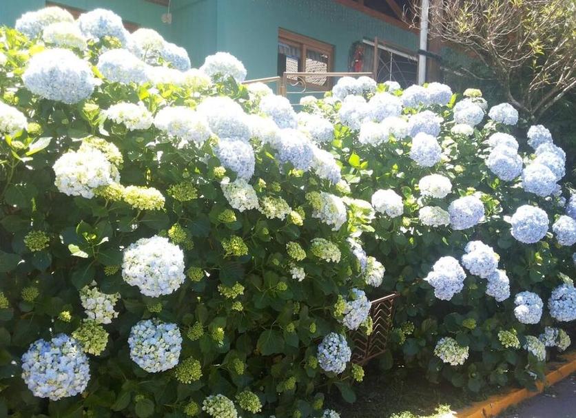 Dış görünüm Fotoğraf