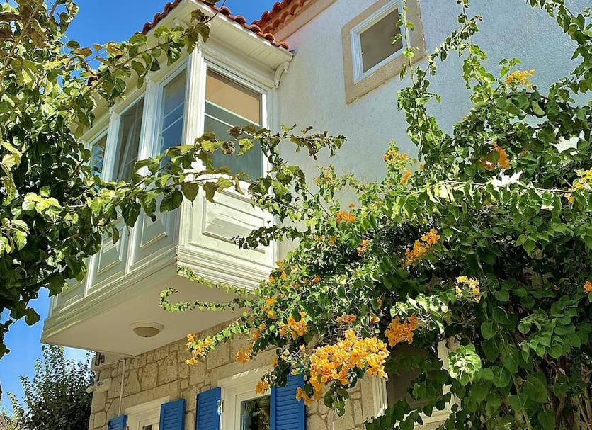 Diğer Fotoğraf
