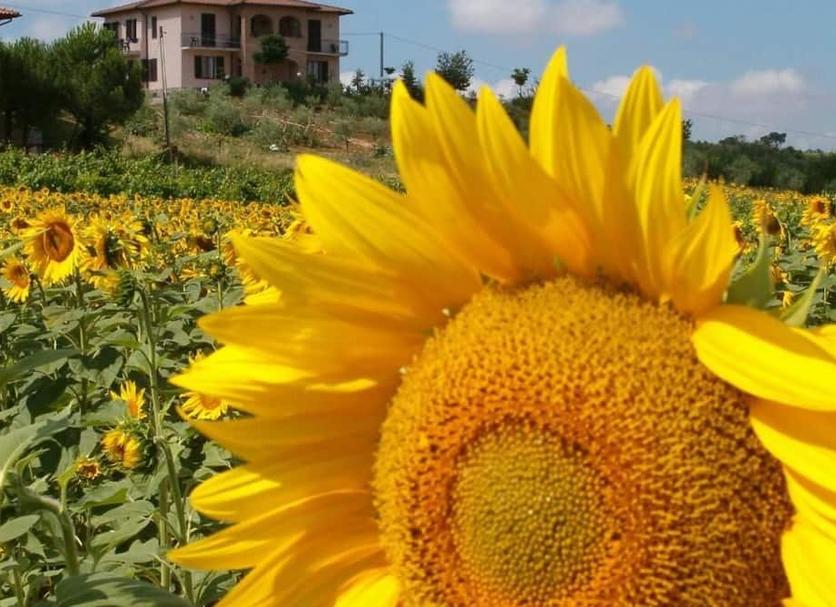 Dış görünüm Fotoğraf