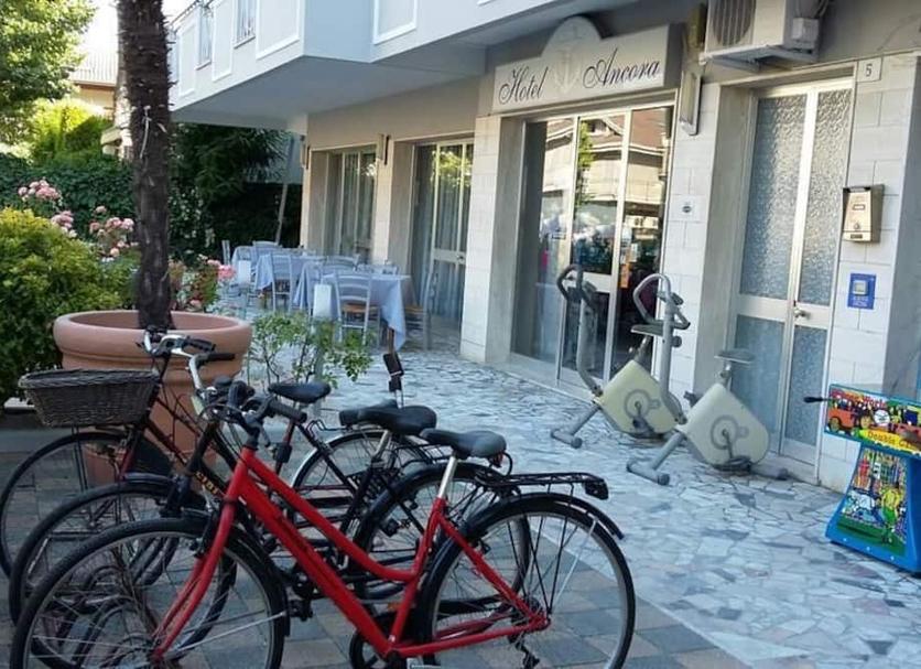 Diğer Fotoğraf