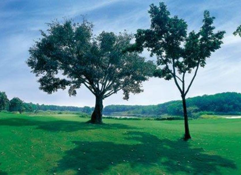 Dış görünüm Fotoğraf