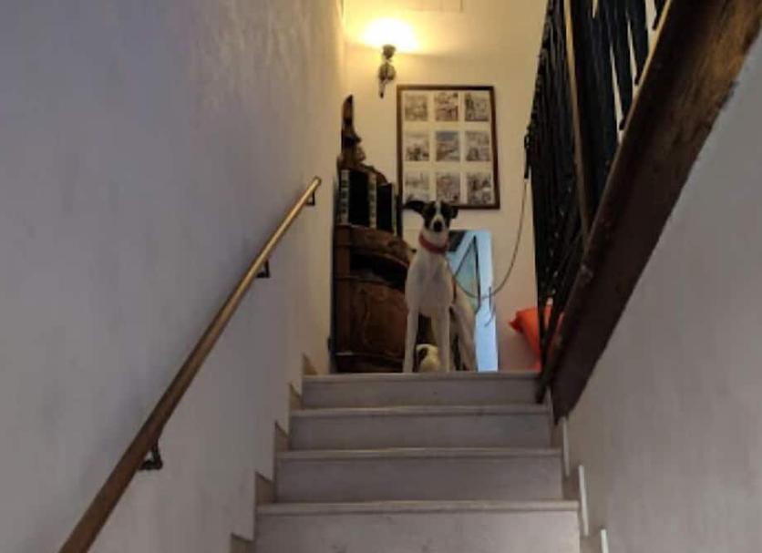 Merdivenler Fotoğraf