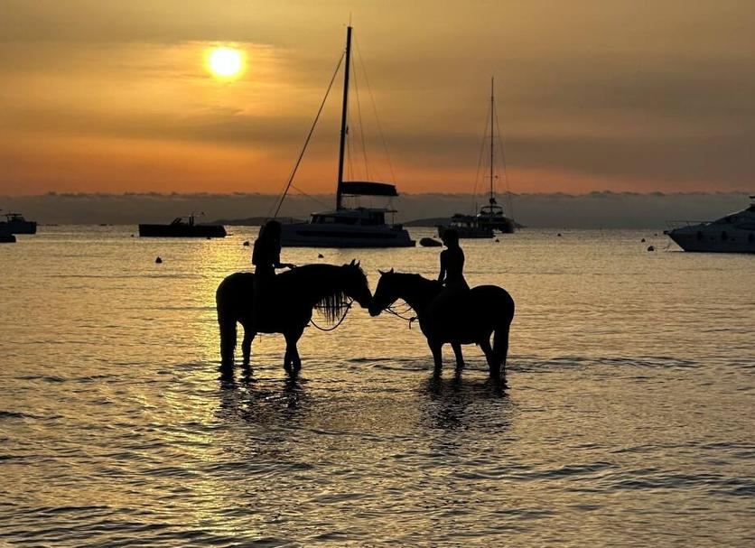 Diğer Fotoğraf