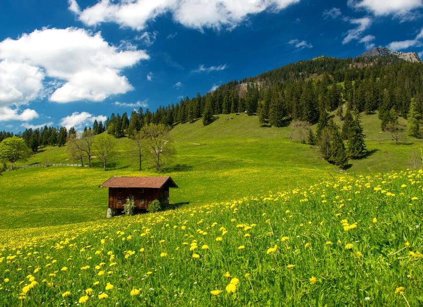 Dış görünüm Fotoğraf