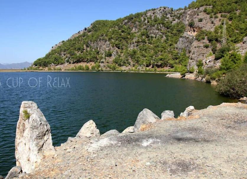 Diğer Fotoğraf
