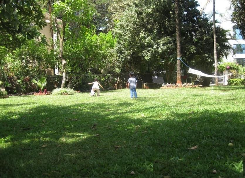 Diğer Fotoğraf