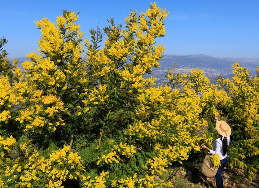 Dış görünüm Fotoğraf