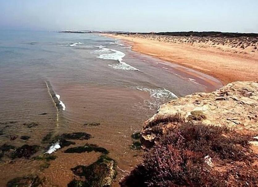 Plaj Fotoğraf