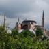 Dış görünüm