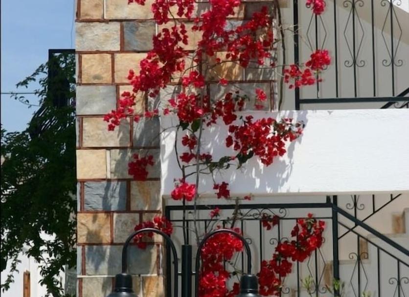 Dış görünüm Fotoğraf