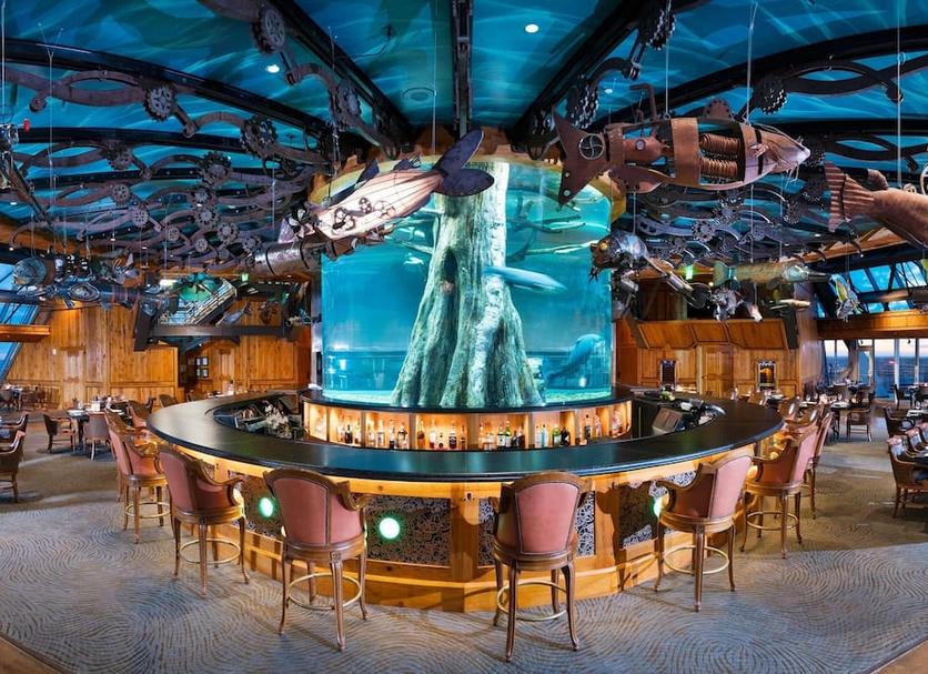 Bar Fotoğraf