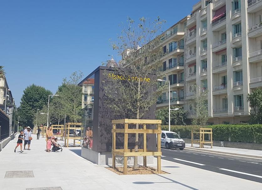 Diğer Fotoğraf