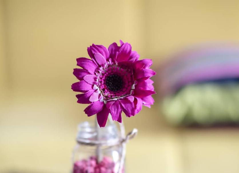 Oda olanağı Fotoğraf