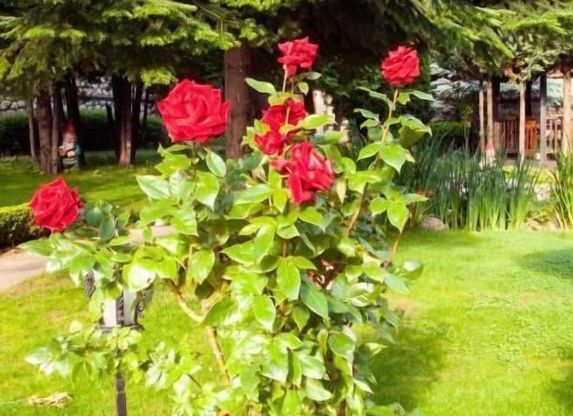Dış görünüm Fotoğraf
