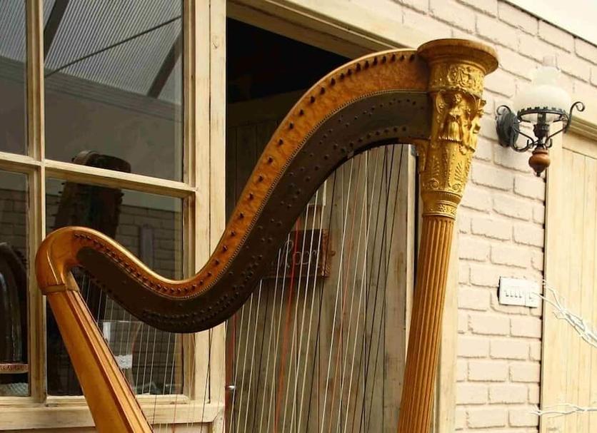 Diğer Fotoğraf