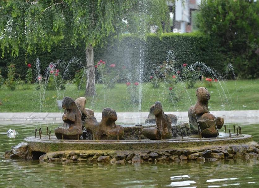 Diğer Fotoğraf