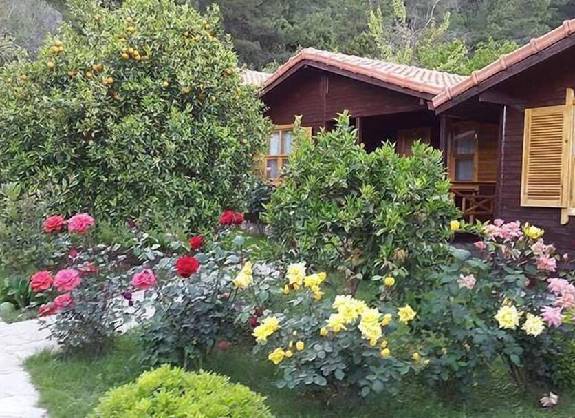 Dış görünüm Fotoğraf