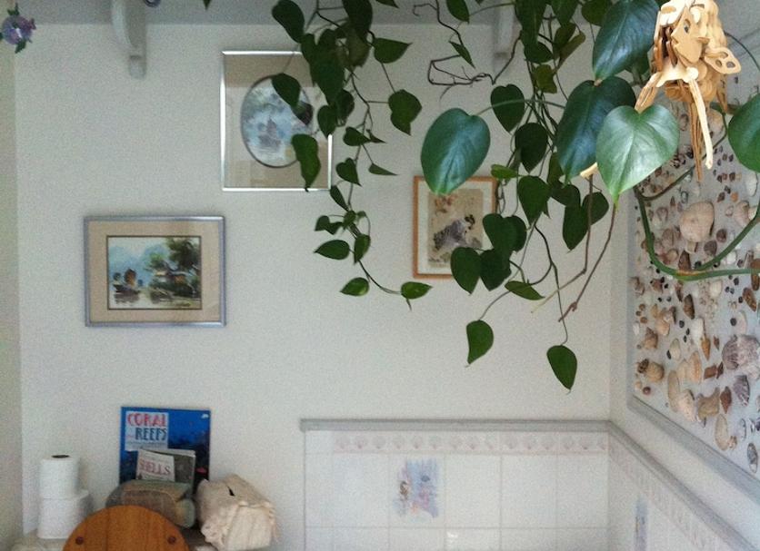 Banyo Fotoğraf