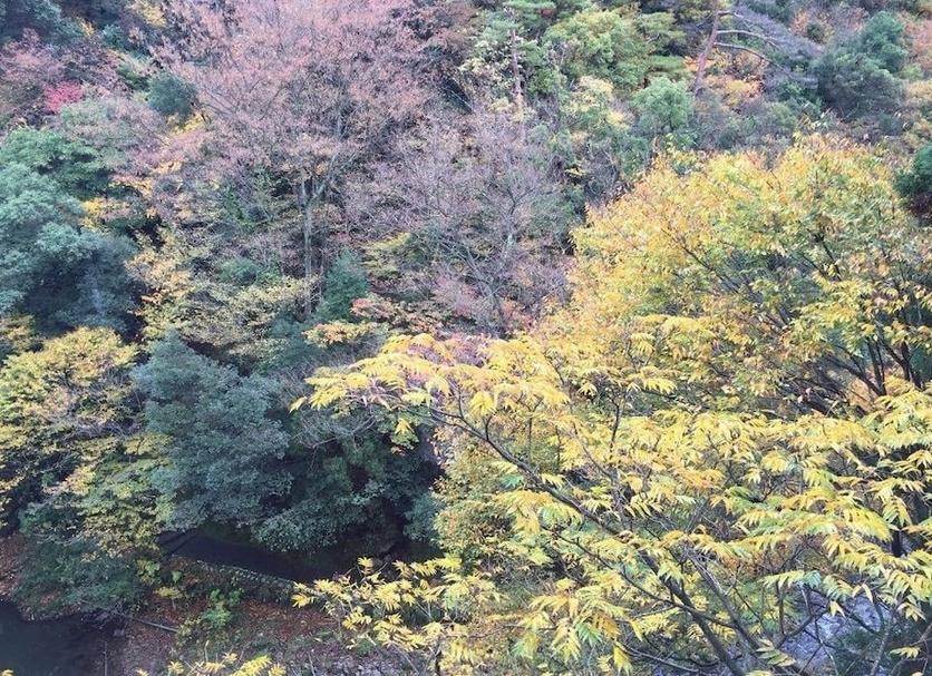 Dış görünüm Fotoğraf