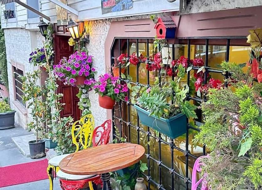 Diğer Fotoğraf