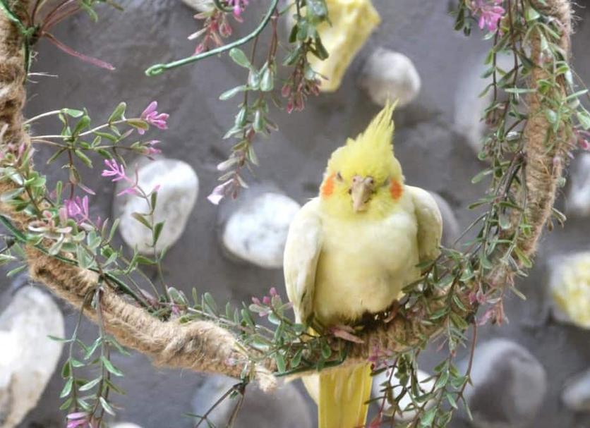 Diğer Fotoğraf
