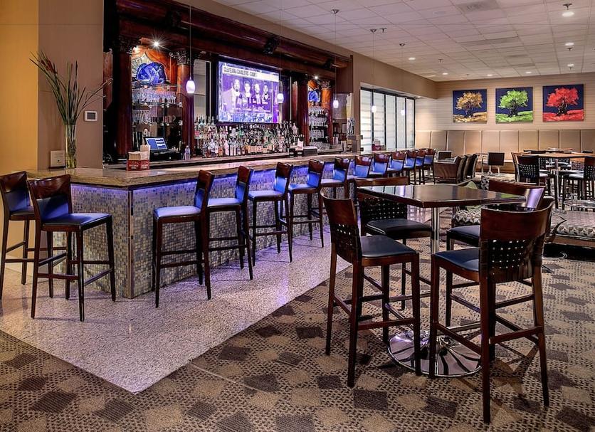 Bar Fotoğraf