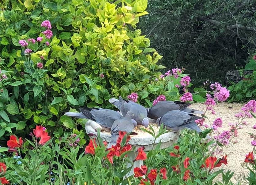 Dış görünüm Fotoğraf