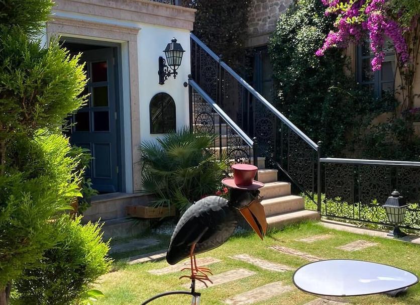 Diğer Fotoğraf
