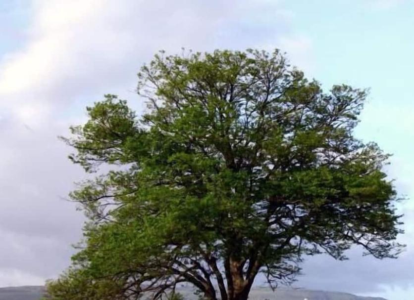 Dış görünüm Fotoğraf