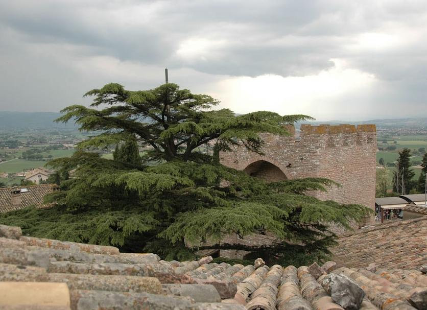 Dış görünüm Fotoğraf