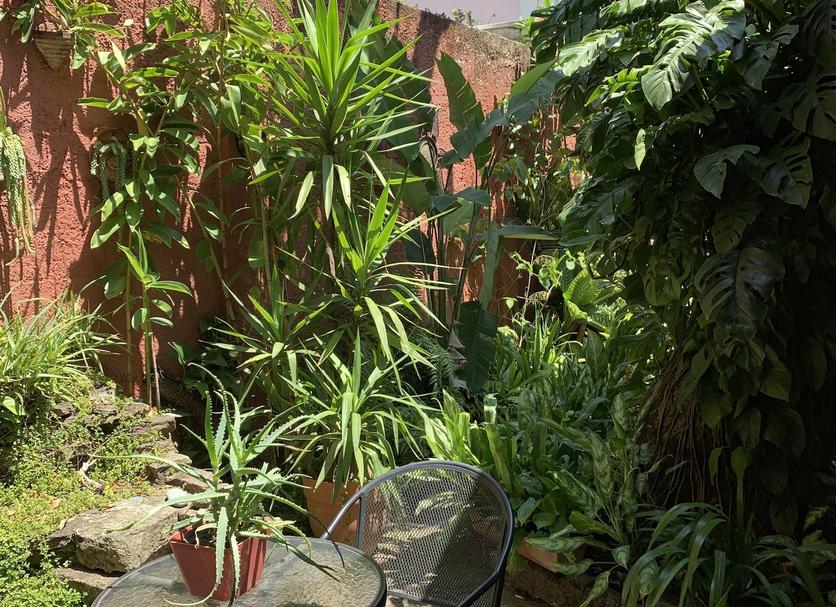 Veranda Fotoğraf
