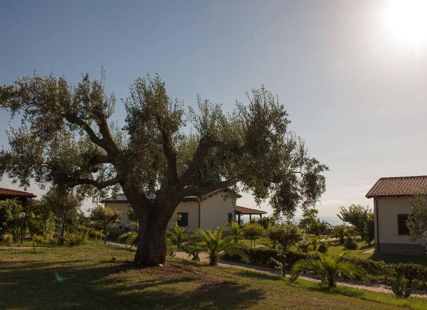 Dış görünüm Fotoğraf