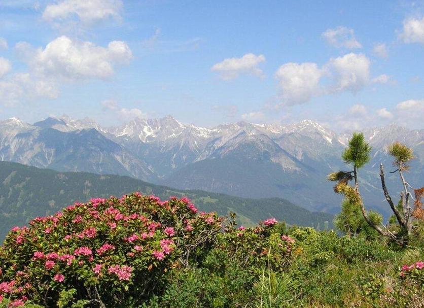 Dış görünüm Fotoğraf