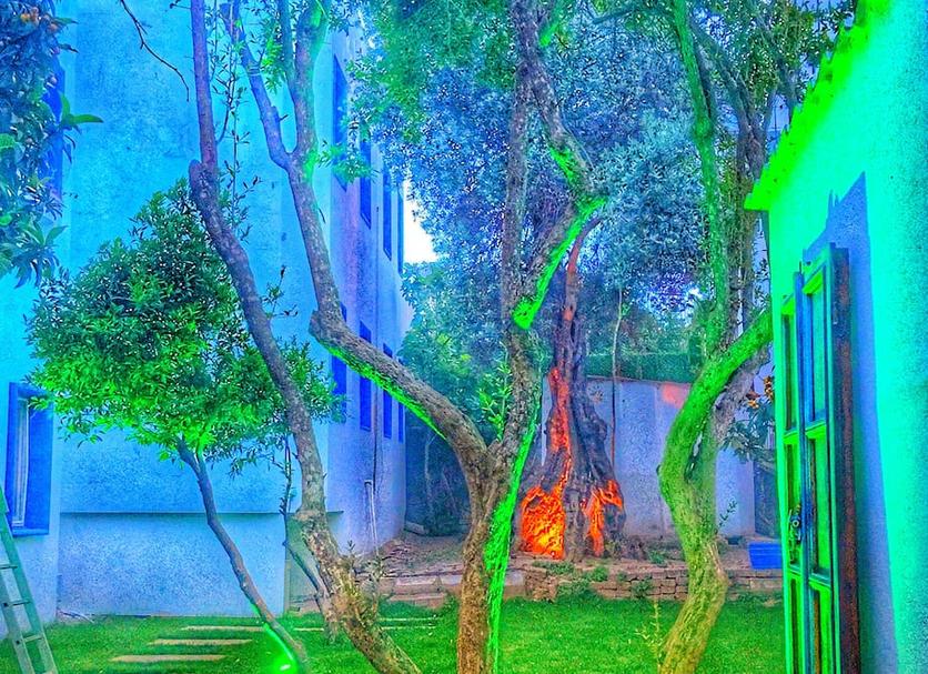 Dış görünüm Fotoğraf