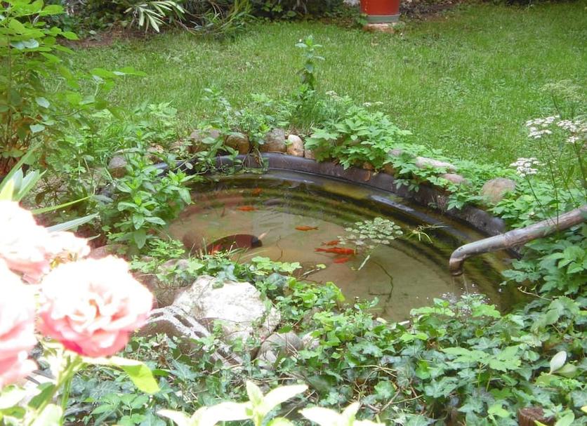 Dış görünüm Fotoğraf
