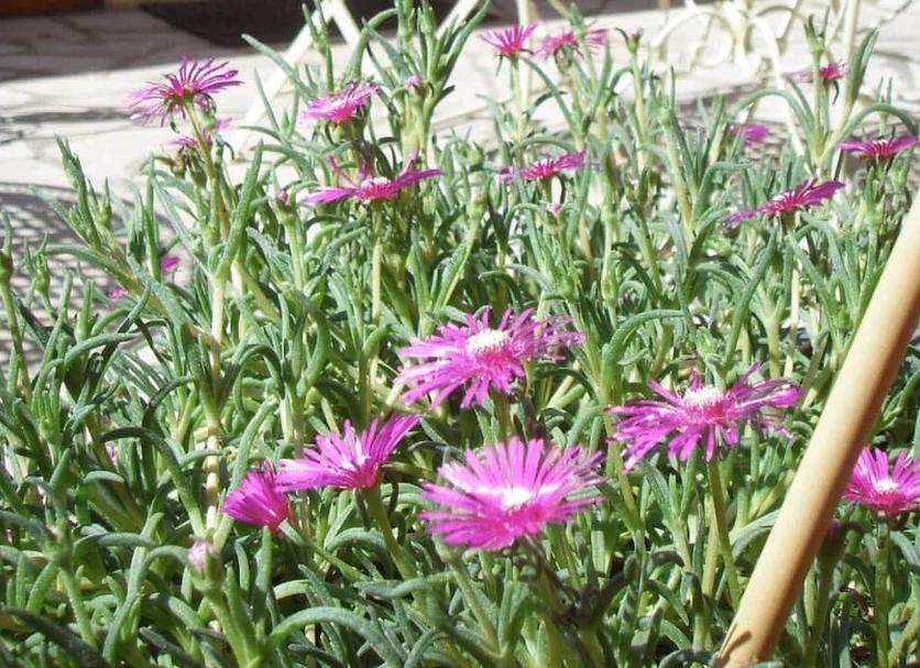 Dış görünüm Fotoğraf