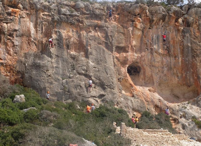 Diğer Fotoğraf