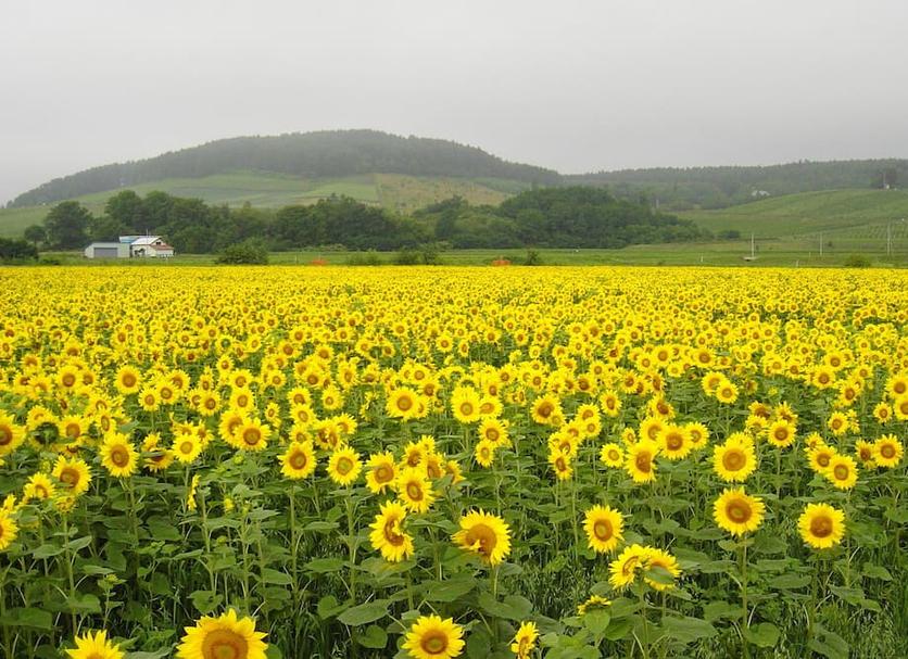 Dış görünüm Fotoğraf