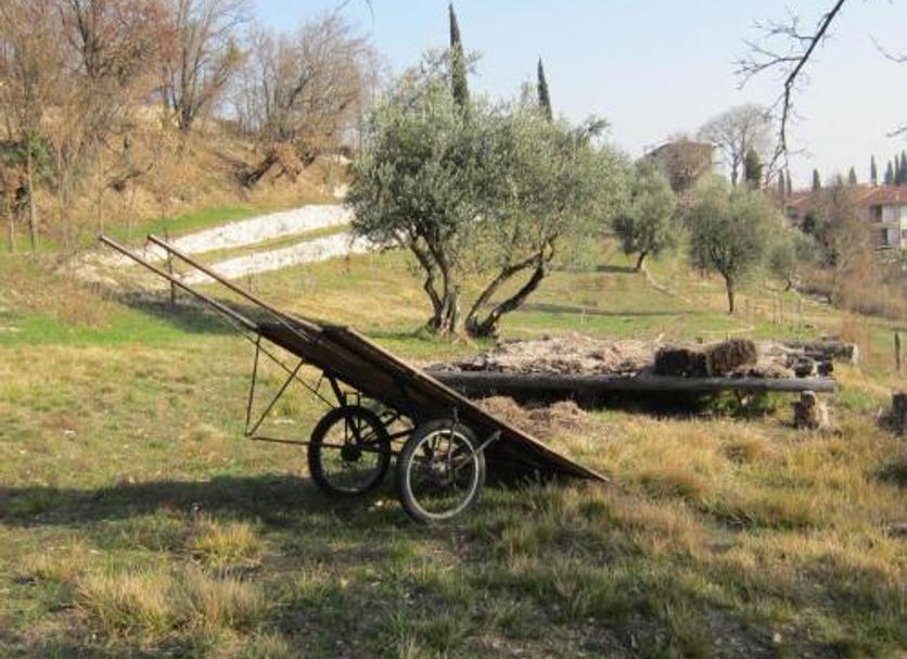 Diğer Fotoğraf