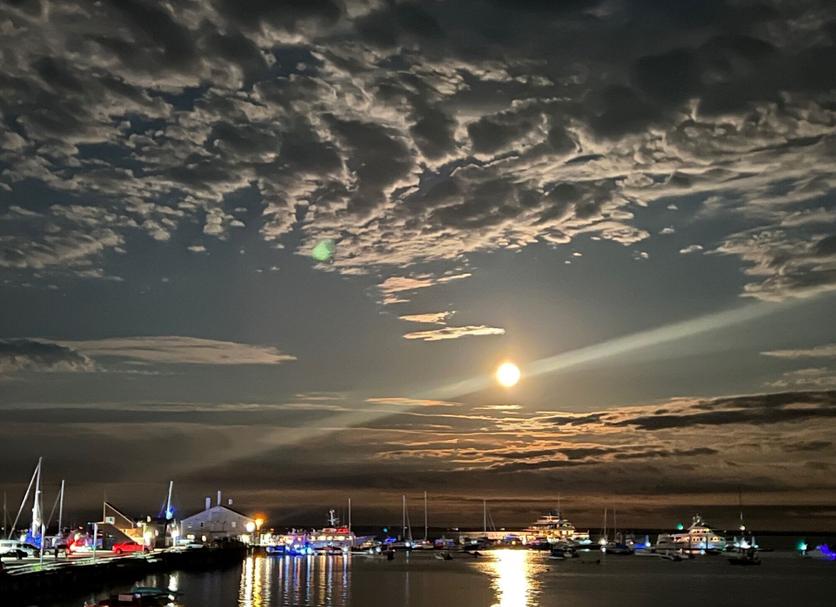 Diğer Fotoğraf